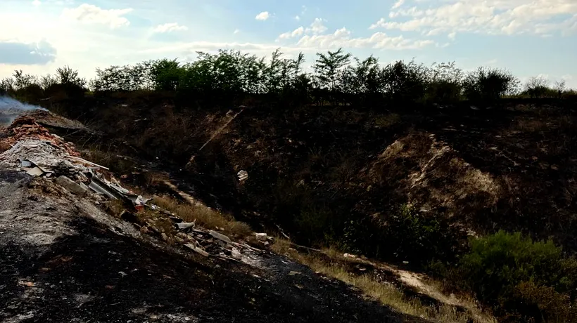 Incendiu puternic la Fetești. Ard 100 de hectare de vegetație uscată și gunoi