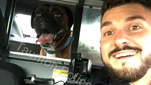 Cum îi ajută un polițist din SUA pe câinii care s-au pierdut de stăpânii lor
