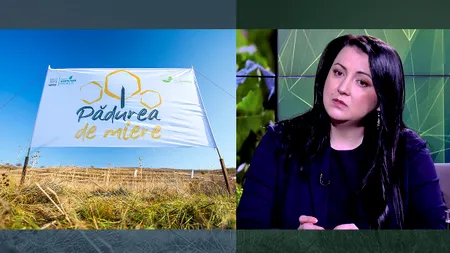 GÂNDUL GREEN. „Pădurea de miere”, proiect de sustenabilitate Nestlé specific pentru România