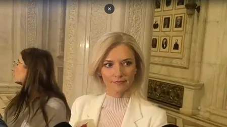 Cu cine vrea PNL la guvernare. Alina Gorghiu: 