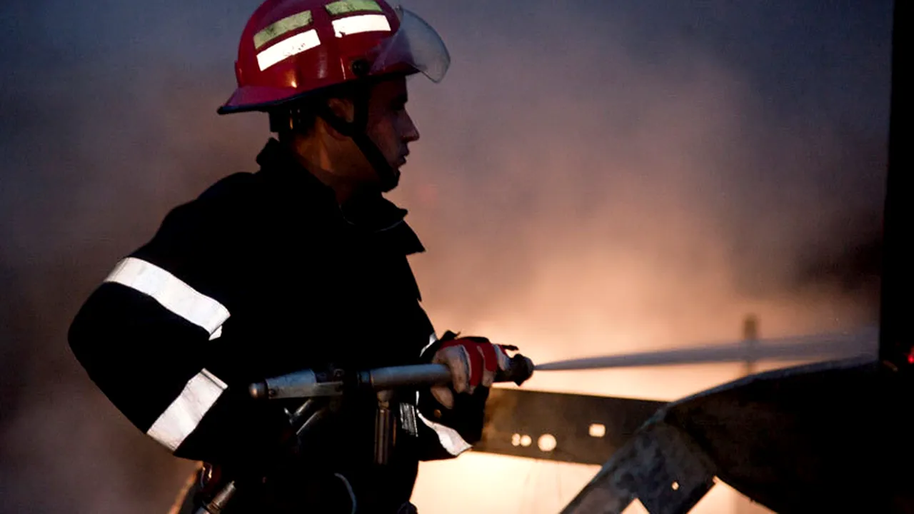 Incendiu puternic într-o pădure din județul Suceava, în apropierea Rezervației Călimani