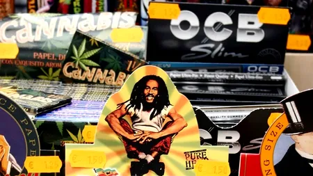 Consumul de canabis în scopuri terapeutice a devenit legal în Cehia începând de luni