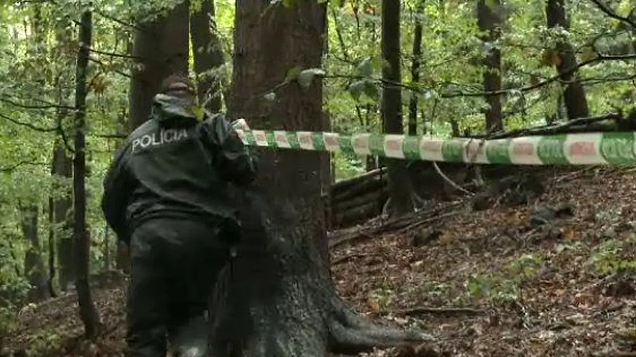 Pilot român, decedat într-un accident aviatic în Slovacia