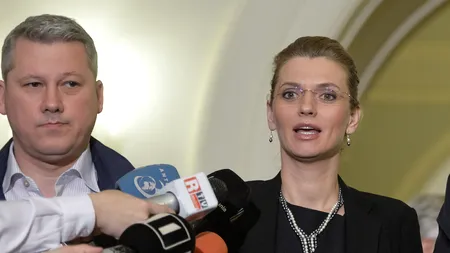 Unde ar putea candida Gorghiu și Predoiu 
