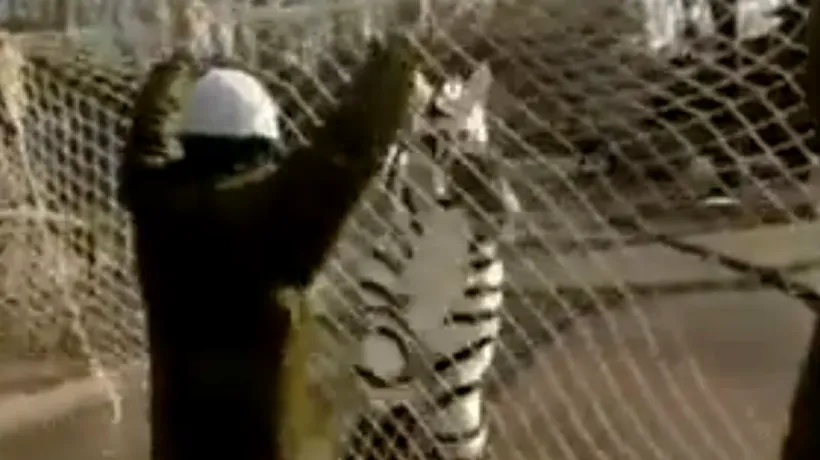 VIDEO. Lecția neobișnuită din care trebuie să învețe angajații unei grădini zoologice din Japonia