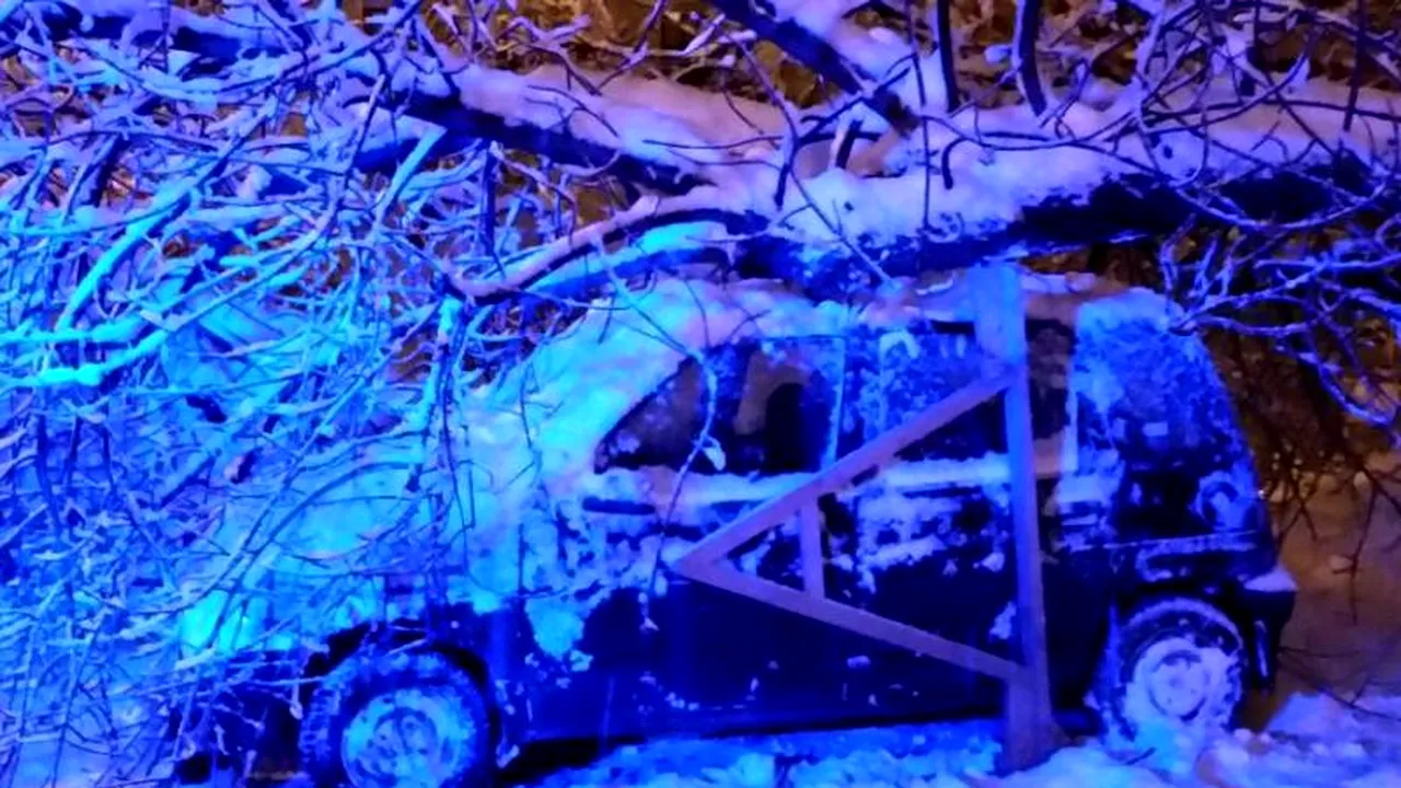 METEO. Alertă de viscol puternic în zece județe! Codul galben expiră la ora 14.00