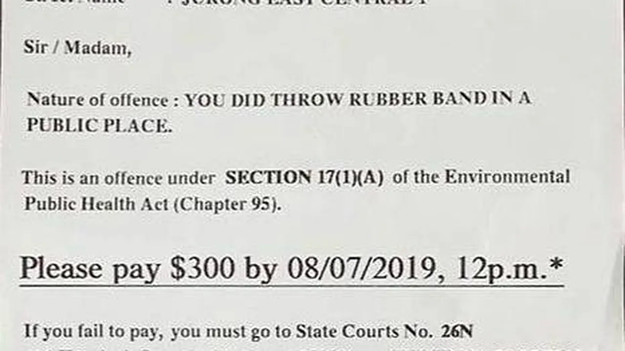 Amendă de sute de dolari pentru gunoaiele de pe un drum. Însă ce a aruncat bărbatul e greu de crezut
