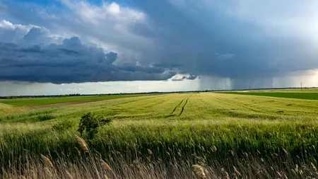 AGRICULTURĂ: Accesul la finanțare va fi mult mai dificil pentru fermierii mici. Nici cei mari nu sunt lipsiți de griji