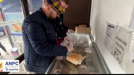 Cristian Piedone, NEREGULI șocante descoperite în locații din Pitești. Șeful ANPC, toleranță zero: „Dacă este pentru căței, faceți magazin de căței