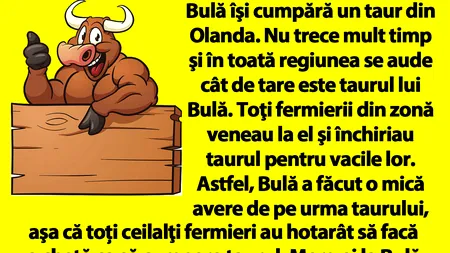 BANC | Bulă îşi cumpără un taur din Olanda. Nu trece mult timp şi în toată regiunea se aude cât de tare este taurul