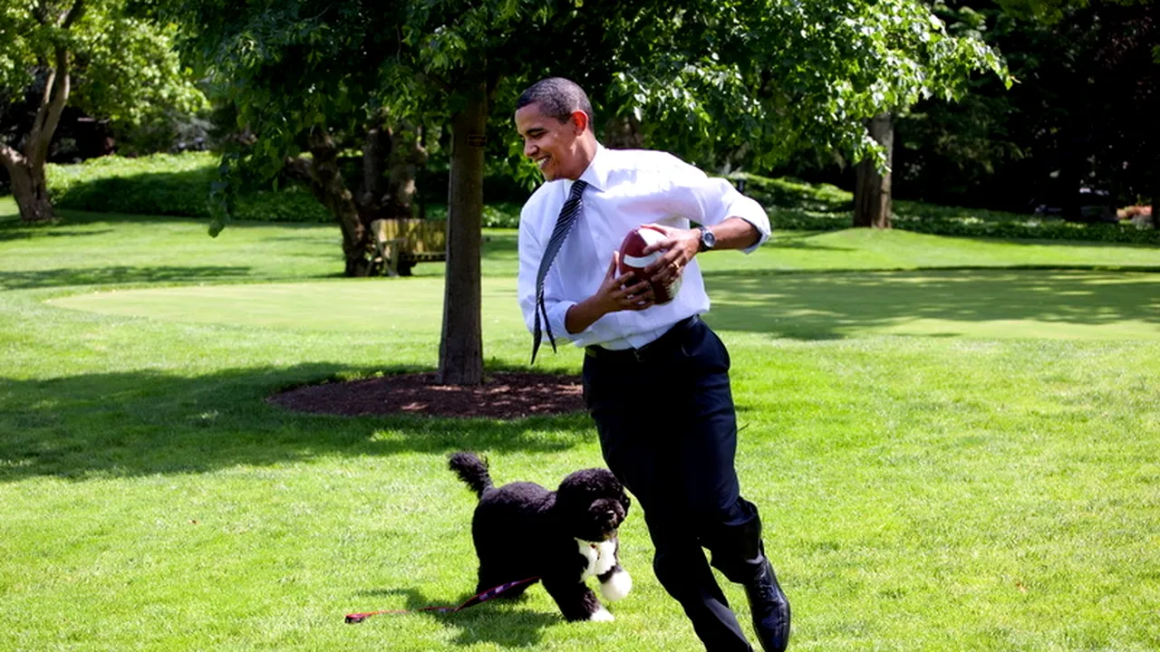 Familia Obama și-a luat un al doilea cățel