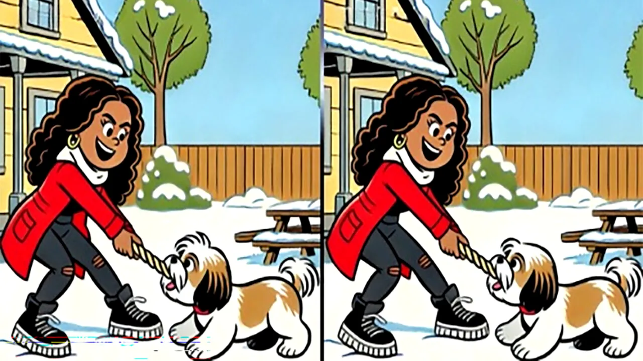 Test IQ de Ajun | Aceste două poze par identice, dar nu sunt. Găsiți cele 3 diferențe!