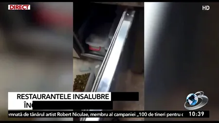 ANPC a închis mai multe localuri de pe litoral din cauza condițiilor insalubre. Unii patroni au sărit la bătaie