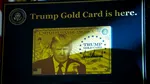 Programul „Gold card” al lui Trump pentru bogații planetei, fără interes. O singură viză permanentă de 1.000.000 de dolari a fost emisă