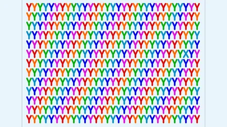 Iluzie optică virală | Găsiți X-ul ascuns printre Y, în această imagine!