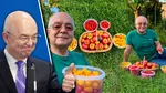 Emil Boc, ședință foto cu primele roșii culese din grădina sa. „E o satisfacție pe care niciun magazin nu o poate oferi.”