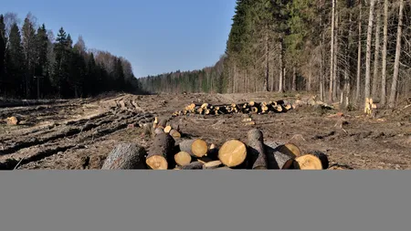 Dosarul retrocedărilor în Suceava. Cum se făceau intervențiile la șeful CJ pentru o moșie a lui Sturdza