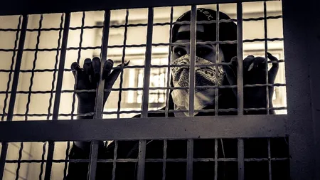 ALEGERI PARLAMENTARE 2020. Urna mobilă, chemată la Penitenciarul Botoșani. Peste 100 de deținuți vor să voteze!