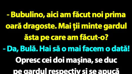 BANC | Bulă și Bubulina se întorc la locul „faptei”