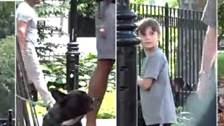 O fetiță, un băiețel, o pisică și un câine s-au pierdut în parc. Cine este salvat primul?