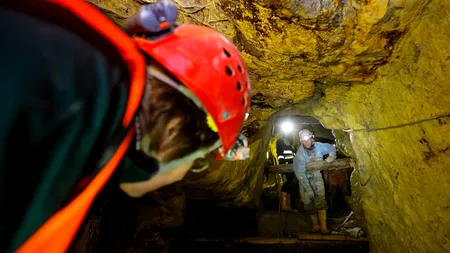 Statul își este dator vândut: Topul companiilor cu cele mai mari restanțe la cele patru bugete publice