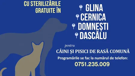 Ianuarie este luna sterilizărilor gratuite în 4 localități din Ilfov: Glina, Cernica, Domnești și Dascălu (P)