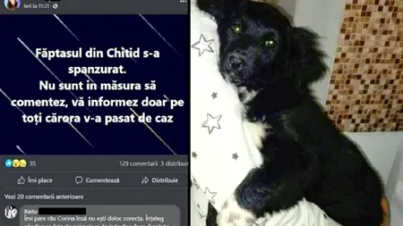 Un bărbat din Hunedoara, care omorâse un câine din comuna în care locuia, s-a spânzurat. Era anchetat, dar altceva l-ar fi determinat să recurgă la acest gest