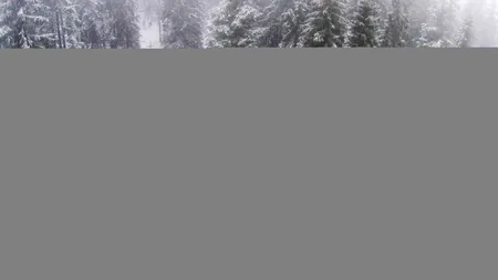 Centrul de Investigații și Analiză pentru Siguranța Aviației Civile: Condițiile meteo, un factor important ce a dus la producerea accidentului din Apuseni