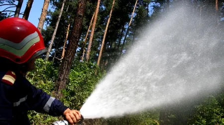 Incendii de vegetație în Parcul Național Ceahlău și în Bucegi, pe terenul Casei Regale