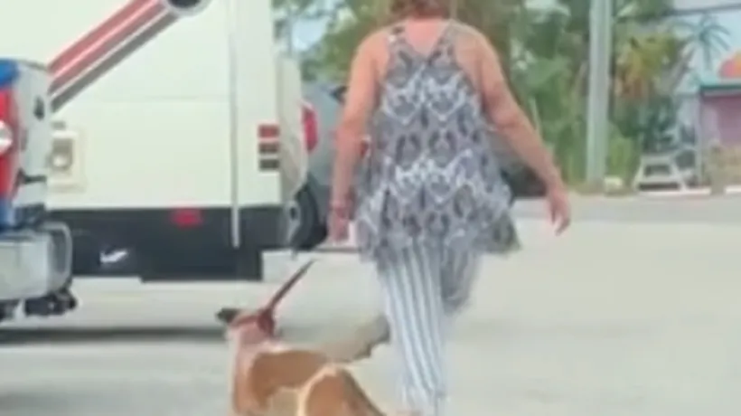O tânără a ajuns după gratii, după ce a fost filmată în timp ce își abuza câinele. Scuza pe care le-a spus-o polițiștilor - VIDEO