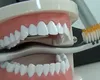 Fabrica de dinți de la Miroslava, în rețeaua unui lider european din industria dentară. Tranzacție medicală importantă