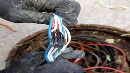 Semafoare defecte în București. Cablurile acestora au fost roase de șobolani