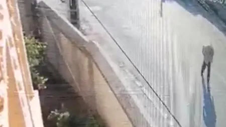 Traseul lui Dincă în ziua în care ar fi ucis-o pe Alexandra, surprins de camere de supraveghere 