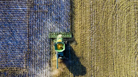 Fructul cu care agricultorii din România au dat lovitura! Câștigă 20.000 de euro pentru fiecare hectar cultivat