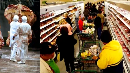 CINE A COMIS ILEGALITATEA: românii sau francezii? Traseul cărnii de cal, de la abatoarele românești la pachetele de lasagna din magazinele britanice. VIDEO Gândul LIVE