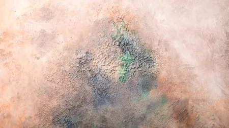 Cum să cureți mocheta simplu și eficient, acasă. Ai nevoie de doar 2 ingrediente banale