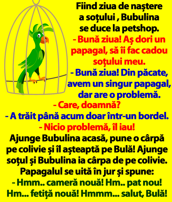 BANC | Bubulina se duce la petshop și cumpără un papagal, cadou pentru Bulă
