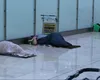 Cartierul din TERMINAL. Locuitorii din aeroportul din Madrid riscă să-și piardă „casa”