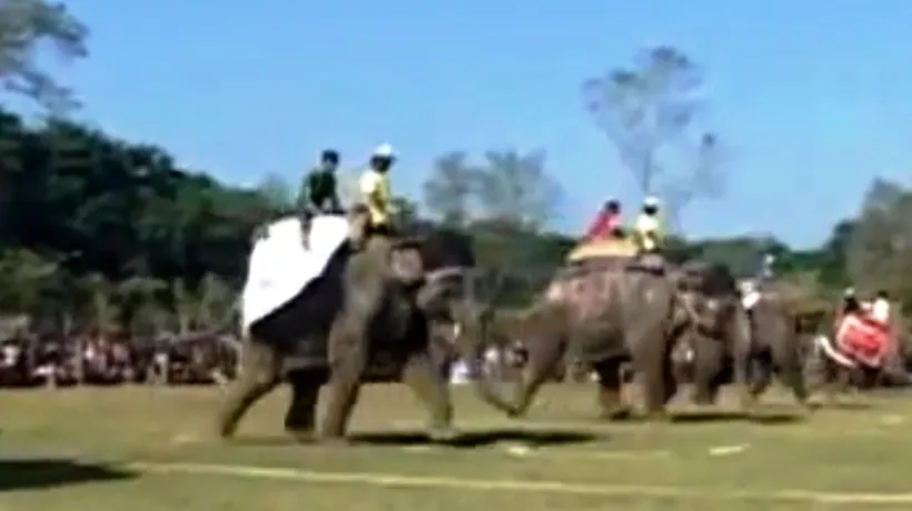 Cum arată un meci de fotbal între elefanți. VIDEO