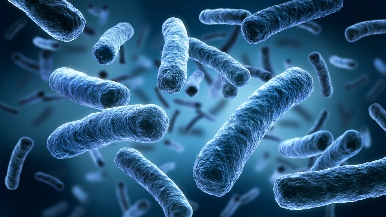 Alertă în Polonia! 5 oameni au murit din cauza unei bacterii extrem de periculoase