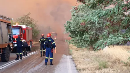 VIDEO| Imagini apocaliptice din Grecia. Pompierii români, printre copaci în flăcări, nori de fum și dealuri de cenușă