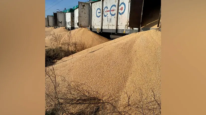 Ministru: Aproximativ 160 de tone de cereale ucrainene au fost DISTRUSE în Polonia, pe fondul protestelor fermierilor
