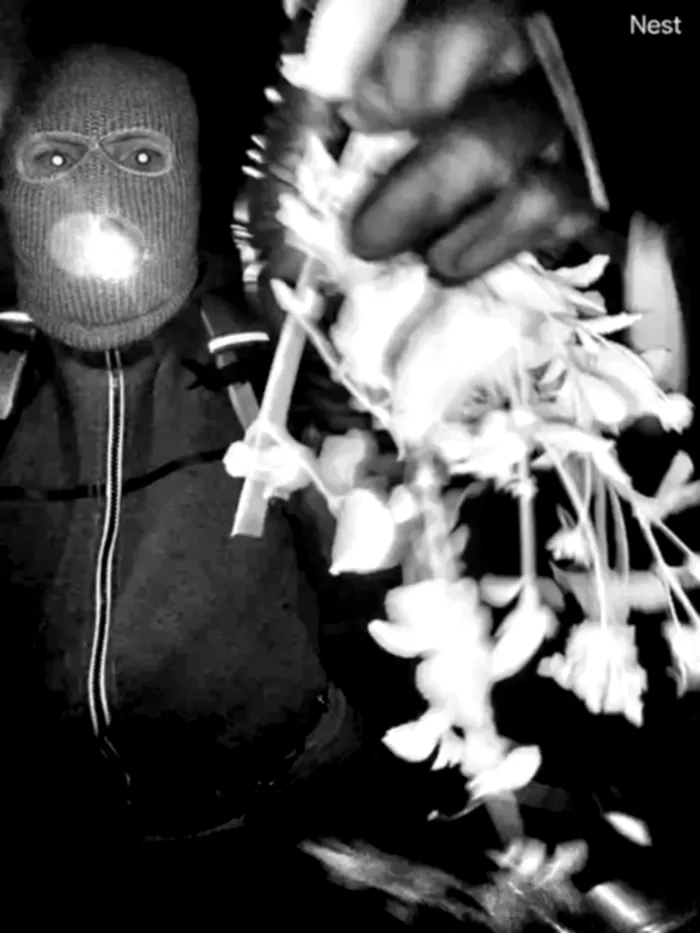 Foto: X/@FBIDirectorKash