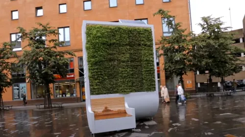 Primăria Brașov vrea să instaleze copaci inteligenți în oraș. Cum arată și ce rol vor avea