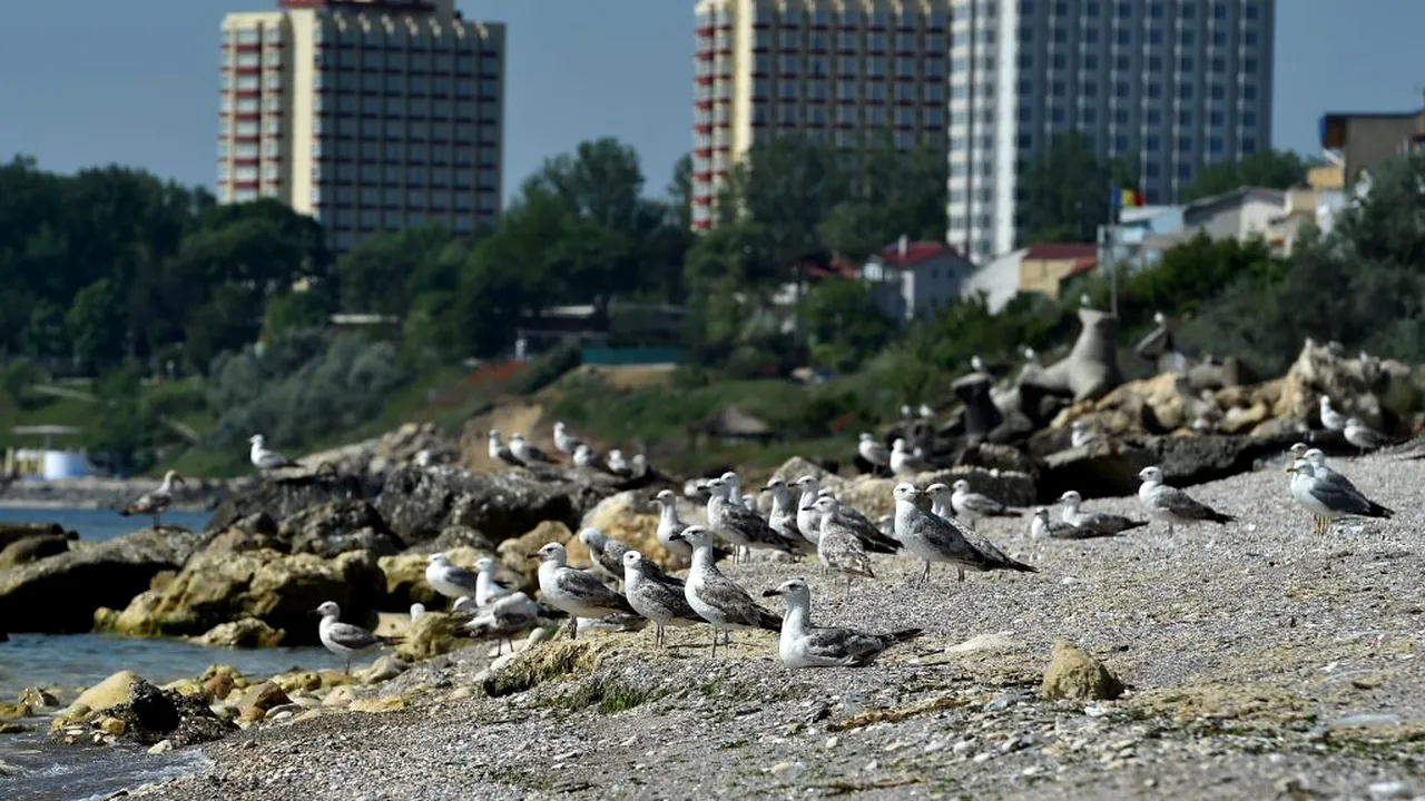 CORONAVIRUSUL versus turismul românesc