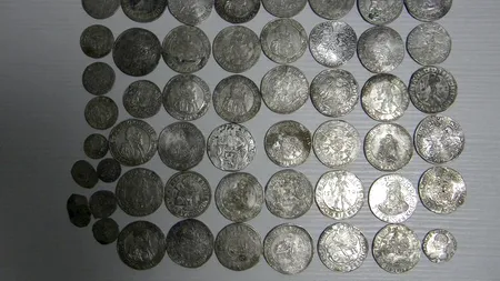 Comoara de pe câmp. Tezaurul descoperit de un bărbat din Dolj