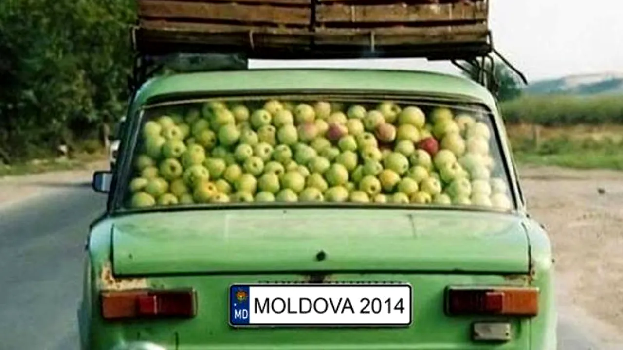 Proiectul cinematografic 