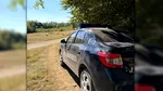 Un bărbat din Dâmbovița, declarat decedat, a apărut în evidențele polițiștilor ca transportator de lemne. Cum a fost posibil așa ceva
