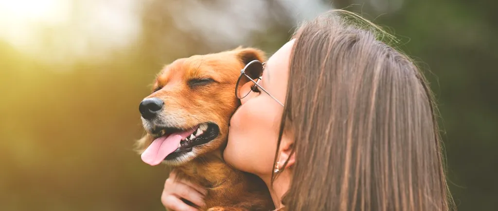 Cum testezi INTELIGENȚA câinelui tău? Iată cele 5 probe prin care trebuie să treacă prietenul blănos pentru a-i afla IQ-ul