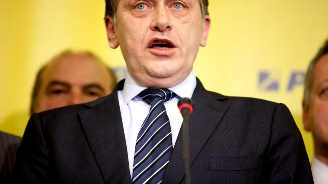 Antonescu a renunțat să vorbească în limba engleză cu reprezentanții Comisiei de la Veneția. Cu cine a venit la întâlnire șeful Senatului